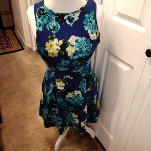 Vintage Pim & Larkin Fit & Flare Dress   Size XS